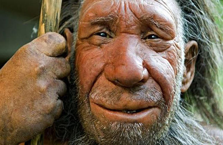 Hombre de Neandertal (rostro)