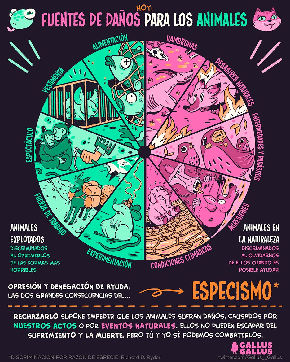 Gallus gallus - Tipos de especismo