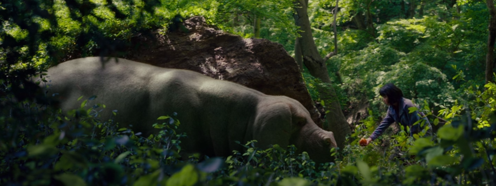 Okja en la montaña (2)