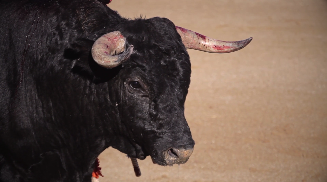 Tauromaquia (documental)