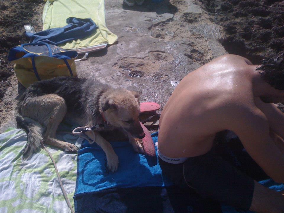 caos-javier